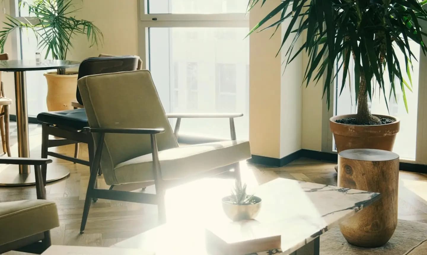 Sala clara com plantas e poltronas, com janela e luz natural